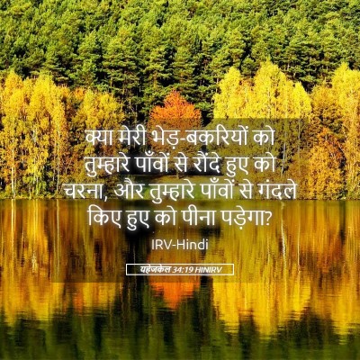 Picture 05 - यहेजकेल 34:19 HINIRV - क्या मेरी - Bible Verse Picture