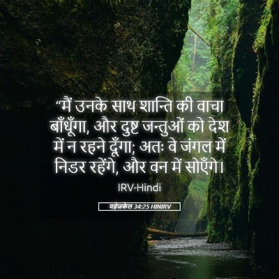 Picture 05 - यहेजकेल 34:25 HINIRV - “मैं उनके साथ - Bible Verse Picture