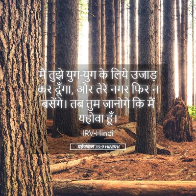 Picture 05 - यहेजकेल 35:9 HINIRV - मैं तुझे युग-युग के - Bible Verse Picture