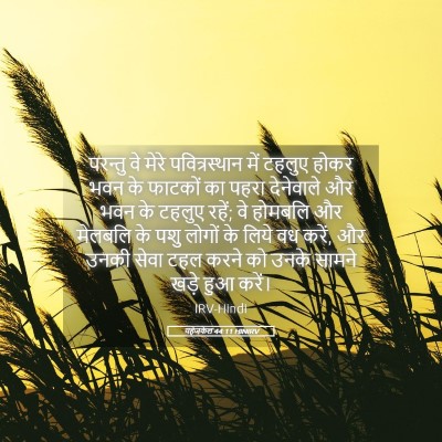 Picture 05 - यहेजकेल 44:11 HINIRV - परन्तु वे मेरे - Bible Verse Picture