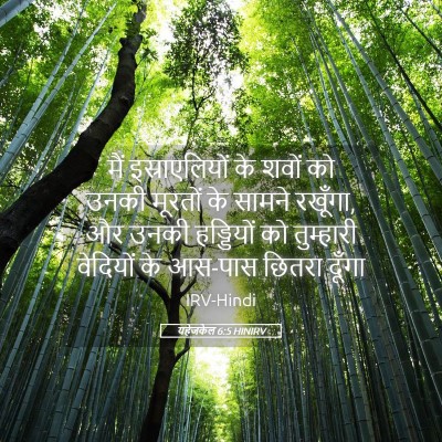 Picture 05 - यहेजकेल 6:5 HINIRV - मैं इस्राएलियों - Bible Verse Picture