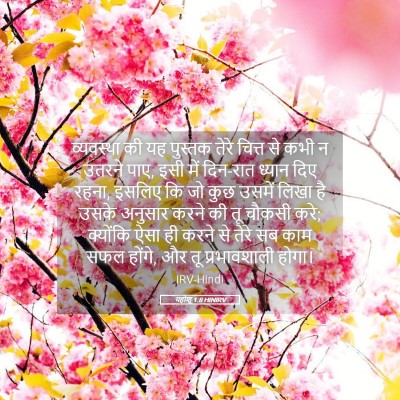 Picture 05 - यहोशू 1:8 HINIRV - व्यवस्था की यह - Bible Verse Picture