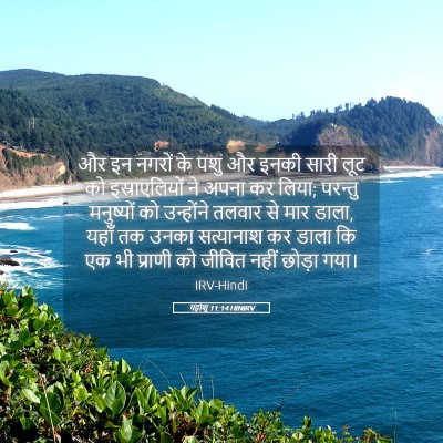 Picture 05 - यहोशू 11:14 HINIRV - और इन नगरों के पशु - Bible Verse Picture