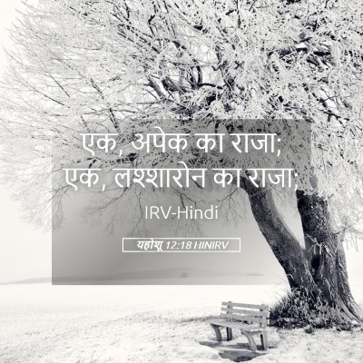 Picture 05 - यहोशू 12:18 HINIRV - एक, अपेक का राजा; एक, - Bible Verse Picture