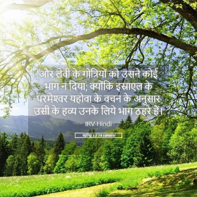 Picture 05 - यहोशू 13:14 HINIRV - और लेवी के - Bible Verse Picture