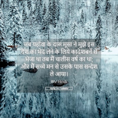 Picture 05 - यहोशू 14:7 HINIRV - जब यहोवा के दास - Bible Verse Picture
