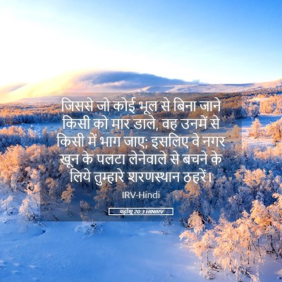 Picture 05 - यहोशू 20:3 HINIRV - जिससे जो कोई भूल से - Bible Verse Picture