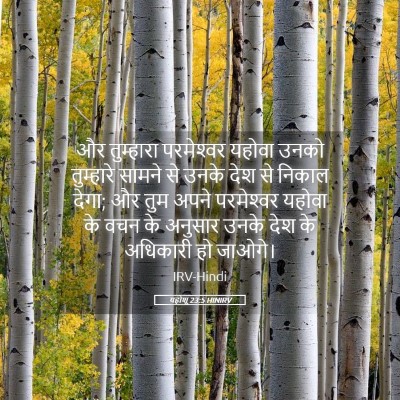 Picture 05 - यहोशू 23:5 HINIRV - और तुम्हारा - Bible Verse Picture