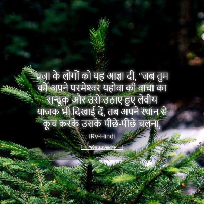 Picture 05 - यहोशू 3:3 HINIRV - प्रजा के लोगों को - Bible Verse Picture