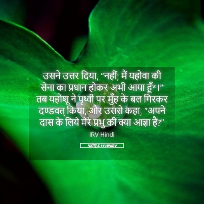 Picture 05 - यहोशू 5:14 HINIRV - उसने उत्तर दिया, - Bible Verse Picture