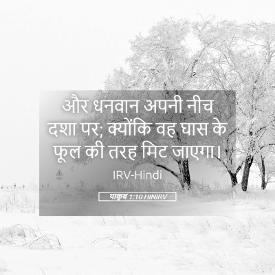 Picture 05 - याकूब 1:10 HINIRV - और धनवान अपनी नीच - Bible Verse Picture