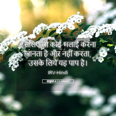 Picture 05 - याकूब 4:17 HINIRV - इसलिए जो कोई भलाई - Bible Verse Picture
