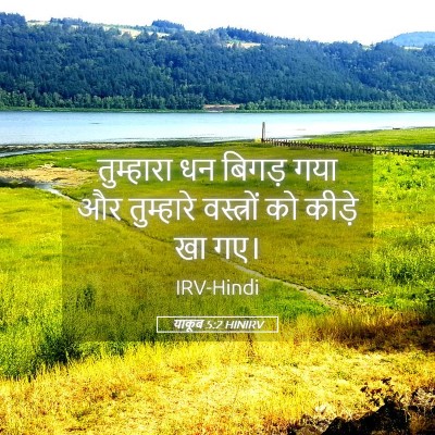 Picture 05 - याकूब 5:2 HINIRV - तुम्हारा धन बिगड़ - Bible Verse Picture