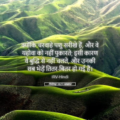 Picture 05 - यिर्मयाह 10:21 HINIRV - क्योंकि चरवाहे - Bible Verse Picture