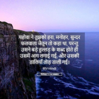Picture 05 - यिर्मयाह 11:16 HINIRV - यहोवा ने तुझको हरा, - Bible Verse Picture