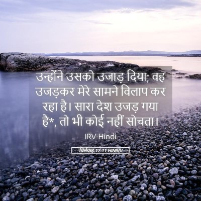 Picture 05 - यिर्मयाह 12:11 HINIRV - उन्होंने उसको - Bible Verse Picture