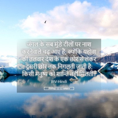 Picture 05 - यिर्मयाह 12:12 HINIRV - जंगल के सब मुंडे - Bible Verse Picture