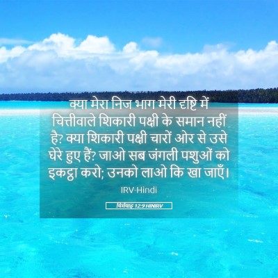 Picture 05 - यिर्मयाह 12:9 HINIRV - क्या मेरा निज भाग - Bible Verse Picture