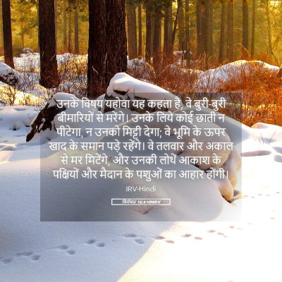 Picture 05 - यिर्मयाह 16:4 HINIRV - उनके विषय यहोवा यह - Bible Verse Picture