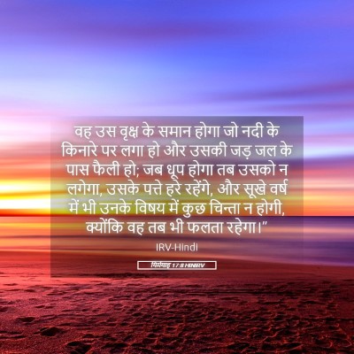 Picture 05 - यिर्मयाह 17:8 HINIRV - वह उस वृक्ष के समान - Bible Verse Picture