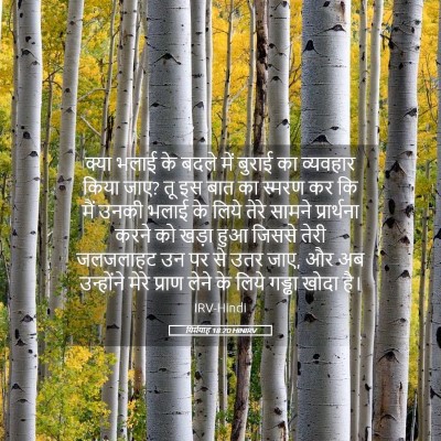 Picture 05 - यिर्मयाह 18:20 HINIRV - क्या भलाई के बदले - Bible Verse Picture
