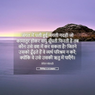 Picture 05 - यिर्मयाह 2:24 HINIRV - जंगल में पली हुई - Bible Verse Picture