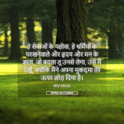 Picture 05 - यिर्मयाह 20:12 HINIRV - हे सेनाओं के यहोवा, - Bible Verse Picture