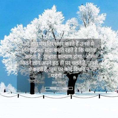 Picture 05 - यिर्मयाह 23:17 HINIRV - जो लोग मेरा - Bible Verse Picture