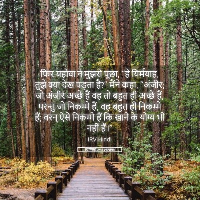 Picture 05 - यिर्मयाह 24:3 HINIRV - फिर यहोवा ने मुझसे - Bible Verse Picture