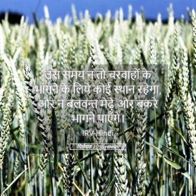 Picture 05 - यिर्मयाह 25:35 HINIRV - उस समय न तो चरवाहों - Bible Verse Picture