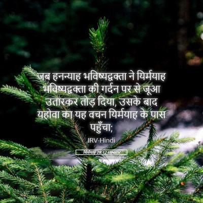 Picture 05 - यिर्मयाह 28:12 HINIRV - जब हनन्याह - Bible Verse Picture