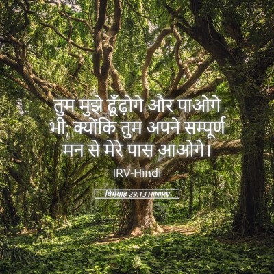 Picture 05 - यिर्मयाह 29:13 HINIRV - तुम मुझे ढूँढ़ोगे - Bible Verse Picture