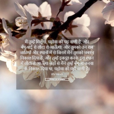 Picture 05 - यिर्मयाह 29:14 HINIRV - मैं तुम्हें - Bible Verse Picture