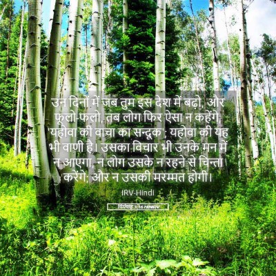 Picture 05 - यिर्मयाह 3:16 HINIRV - उन दिनों में जब तुम - Bible Verse Picture