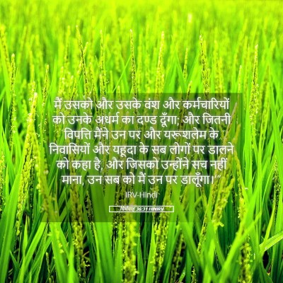 Picture 05 - यिर्मयाह 36:31 HINIRV - मैं उसको और उसके - Bible Verse Picture