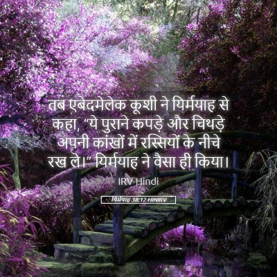 Picture 05 - यिर्मयाह 38:12 HINIRV - तब एबेदमेलेक कूशी - Bible Verse Picture