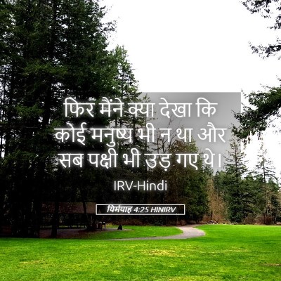 Picture 05 - यिर्मयाह 4:25 HINIRV - फिर मैंने क्या - Bible Verse Picture