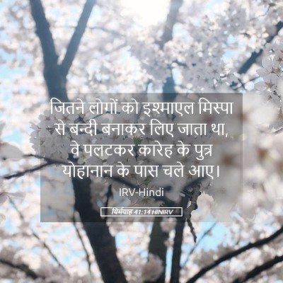 Picture 05 - यिर्मयाह 41:14 HINIRV - जितने लोगों को - Bible Verse Picture