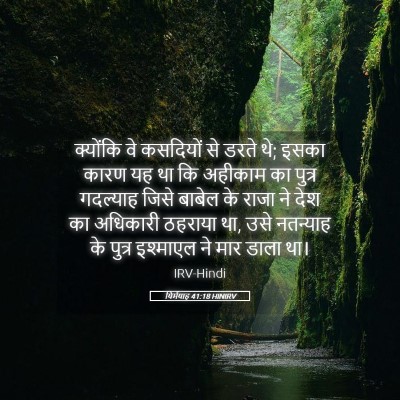 Picture 05 - यिर्मयाह 41:18 HINIRV - क्योंकि वे - Bible Verse Picture