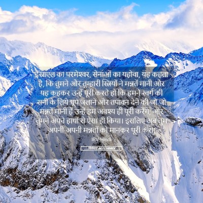 Picture 05 - यिर्मयाह 44:25 HINIRV - इस्राएल का - Bible Verse Picture