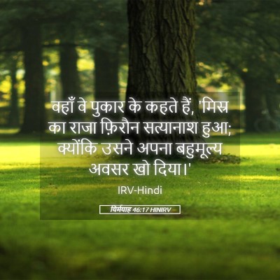 Picture 05 - यिर्मयाह 46:17 HINIRV - वहाँ वे पुकार के - Bible Verse Picture