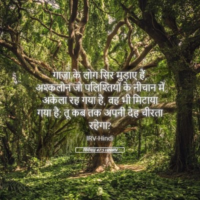 Picture 05 - यिर्मयाह 47:5 HINIRV - गाज़ा के लोग सिर - Bible Verse Picture