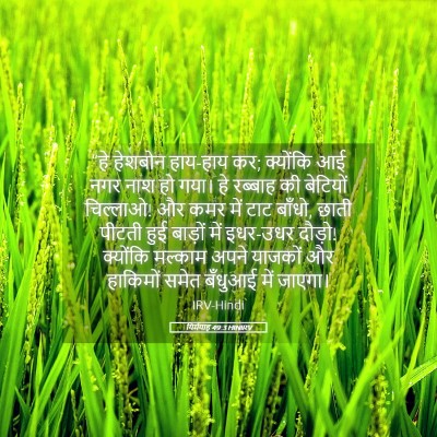 Picture 05 - यिर्मयाह 49:3 HINIRV - “हे हेशबोन हाय-हाय - Bible Verse Picture