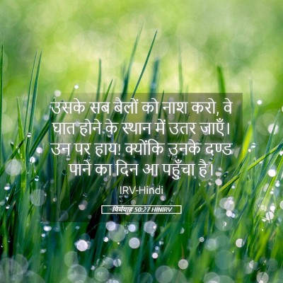 Picture 05 - यिर्मयाह 50:27 HINIRV - उसके सब बैलों को - Bible Verse Picture