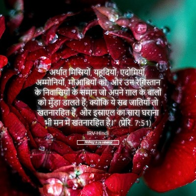 Picture 05 - यिर्मयाह 9:26 HINIRV - अर्थात् - Bible Verse Picture