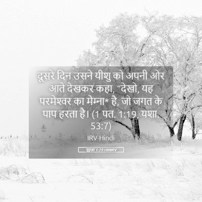 Picture 05 - यूहन्ना 1:29 HINIRV - दूसरे दिन उसने - Bible Verse Picture