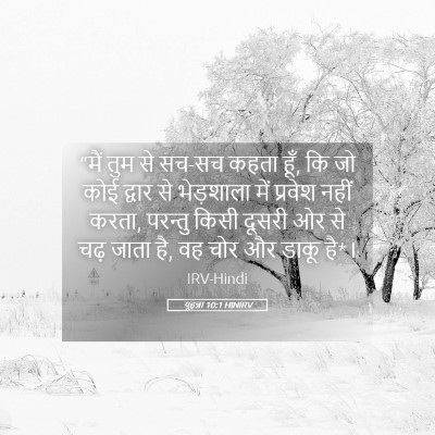 Picture 05 - यूहन्ना 10:1 HINIRV - “मैं तुम से सच-सच - Bible Verse Picture