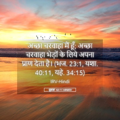 Picture 05 - यूहन्ना 10:11 HINIRV - अच्छा चरवाहा मैं - Bible Verse Picture