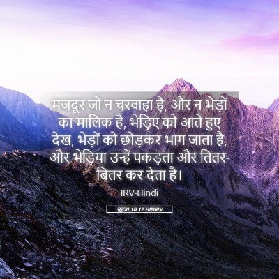 Picture 05 - यूहन्ना 10:12 HINIRV - मजदूर जो न चरवाहा - Bible Verse Picture