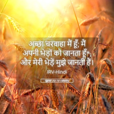 Picture 05 - यूहन्ना 10:14 HINIRV - अच्छा चरवाहा मैं - Bible Verse Picture